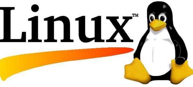 Linux ()