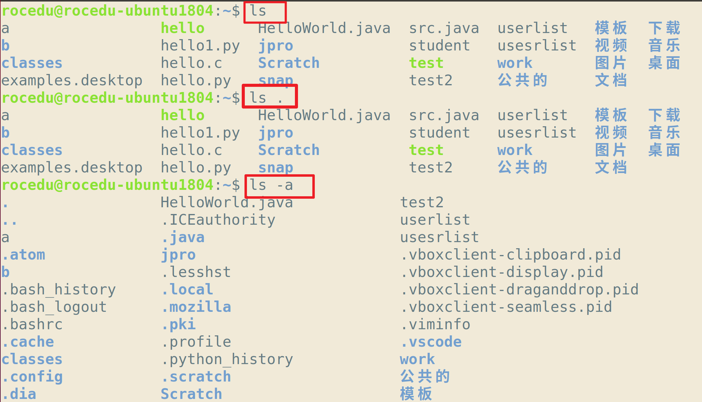 Linux Command Example